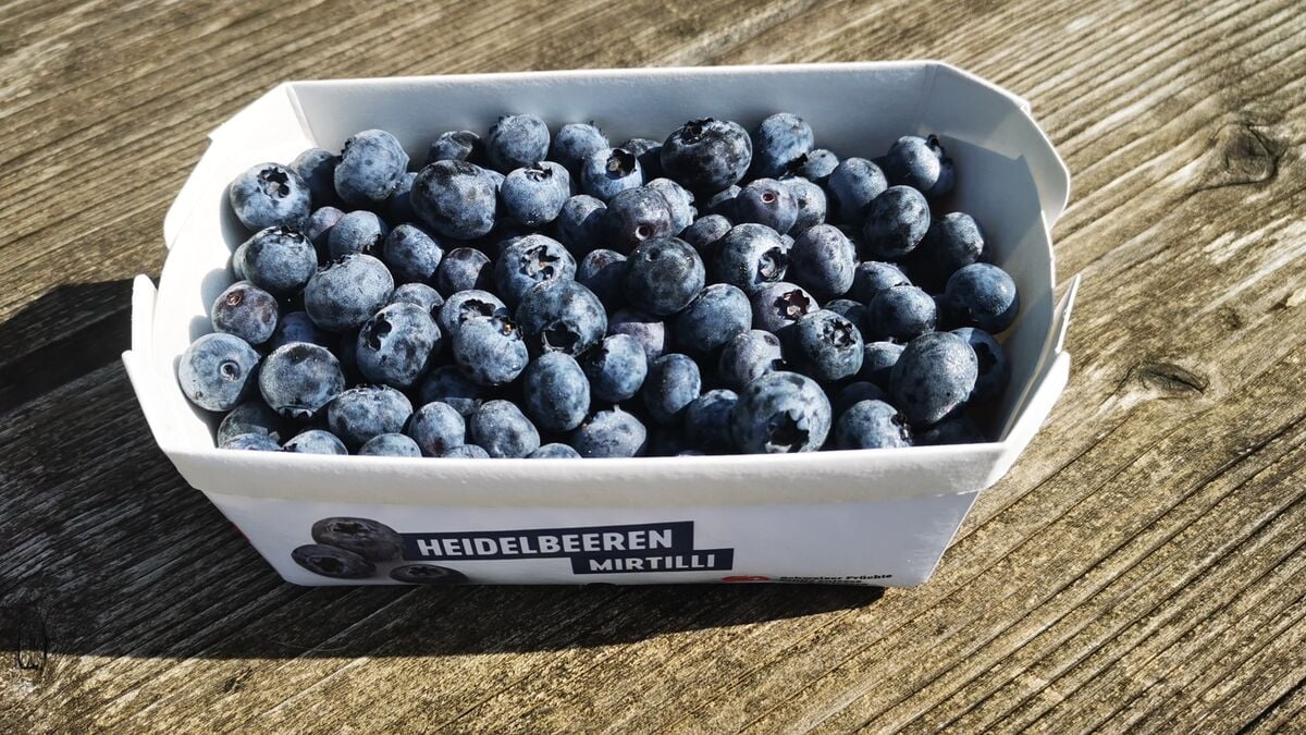 Heidelbeeren