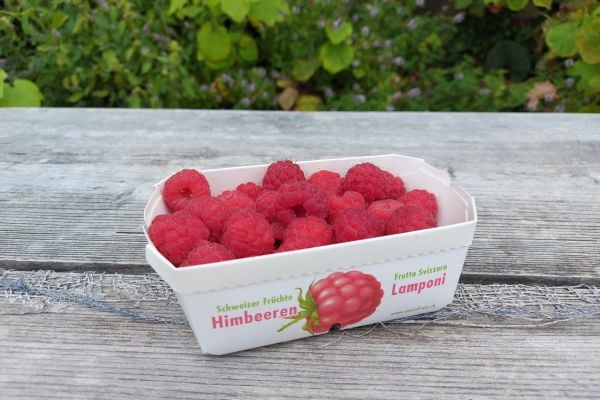 Himbeeren 